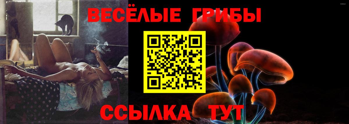 Псилоцибиновые грибы Cubensis  Псилоцибиновые грибы Cubensis  Вход с VPN  Камень-на-Оби 